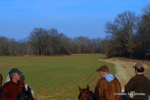 Ames Plantation AKC Gun Dog  02-24-2012